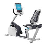 Precor RBK 885 Recumbent Bike + P80 Console - Prioka