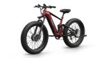 PUCKIPUPPY GoldenR Dual-Motor E-Bikes. - Image 3