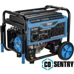 Pulsar 10,000 Watt Dual Fuels Portables Generator PG10000BRCO - Image 4