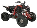 Regency PRO Ultra Sport 250cc ATV - Image 2