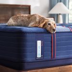 Sealy Posturepedic Elite Spring Albany II 14" Firm Tight Top Mattress - Image 14