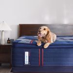 Sealy Posturepedic Elite Spring Albany II 15" Soft Euro Pillowtop Mattress - Image 12