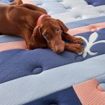 Stearns & Foster Reserve Duet Firm Tight Top Mattress with Reversible Topper - Image 5