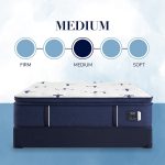 Stearns & Foster Studio Medium Euro Pillow Top Mattress - Image 2