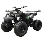 Tao T Forcee T125 Mid Size ATV - Image 2