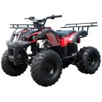 Tao T Forcee T125 Mid Size ATV - Image 5