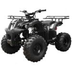 Tao T Forcee T125 Mid Size ATV - Prioka