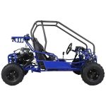 Taotao GK110 Kids Gas Go Kart Dune Buggys. - Image 4
