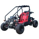 Taotao GK110 Kids Gas Go Kart Dune Buggys. - Image 6
