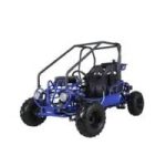 Taotao GK110 Kids Gas Go Kart Dune Buggys. - Image 5