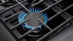 Thor Kitchen LRG3601U 36-Inch Professional Freestanding Gas Range with Convection Oven, Stainless Steel - Image 2