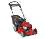 Toro Recycler Self-Propelled Mower 163cc Briggs & Stratton 7.25 TP