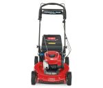 Toro Recycler Self-Propelled Mower 163cc Briggs & Stratton 7.25 TP - Image 3