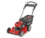 Toro Recycler Self-Propelled Mower 163cc Briggs & Stratton 7.25 TP - Image 2