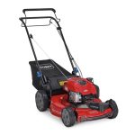 Toro Recycler SmartStow FWD Mower 150cc Briggs & Stratton 6.25 TP