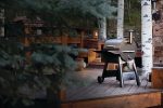 Traeger Grills Pro Series 22 Electric Wood Pellet Grill and Smoker - Image 15