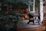 Traeger Grills Pro Series 22 Electric Wood Pellet Grill and Smoker - Image 14