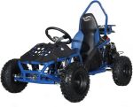 X-Pro Rover 50 Go Karts. - Prioka