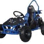 X-Pro Rover 50 Go Karts. - Prioka